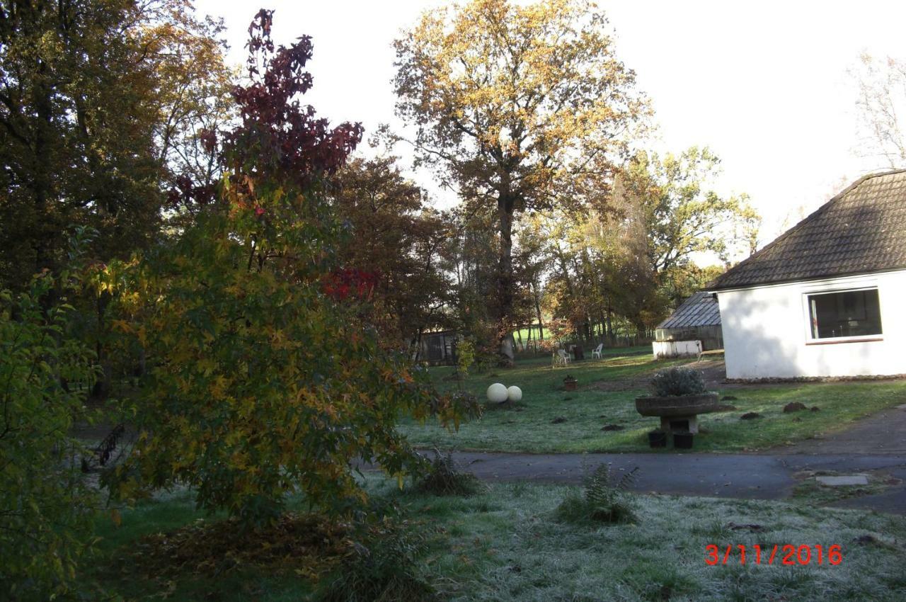 Ferienwohnung Huus Ton Witten Barg Undeloh Exterior foto